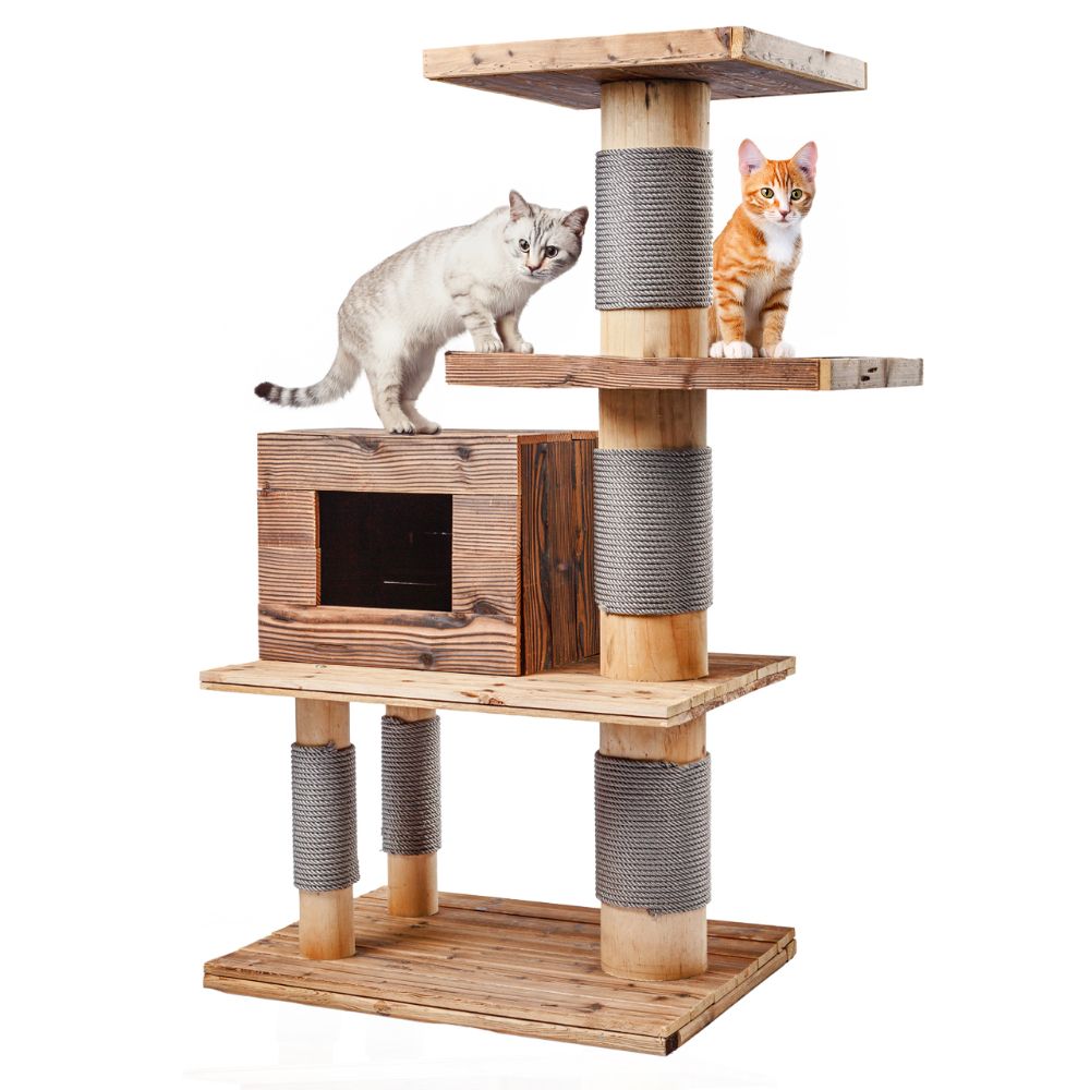 Canadian Cat Company Woody Scratching Post