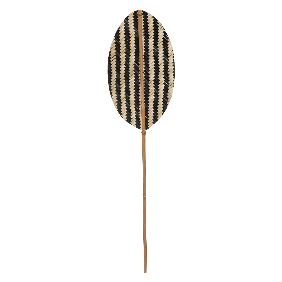 Natural stem "Tropics" Bamboo, H.78 cm
