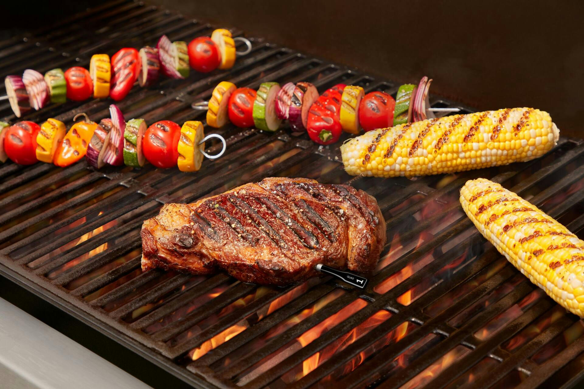 CHEF iQ Smart Wireless Cooking Thermometer