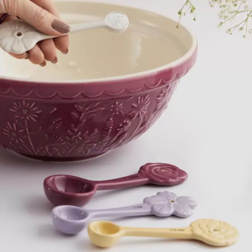 Mason Cash In The Meadow Set of 4 Measuring Spoons