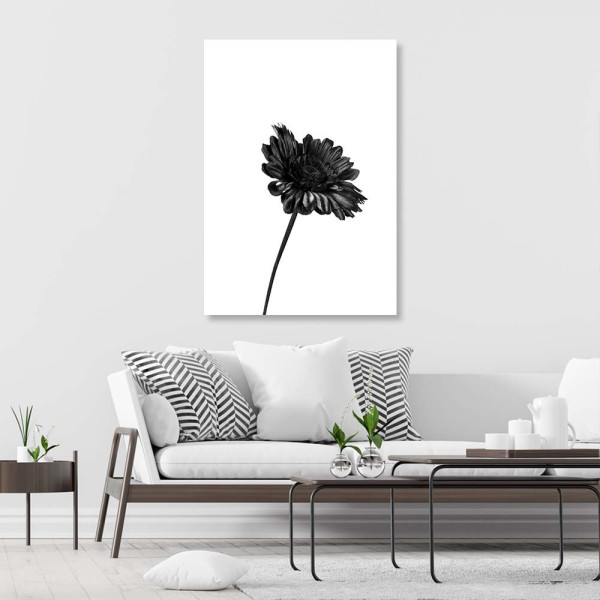 Feeby Obraz na płótnie Pojedynczy kwiat 40x60