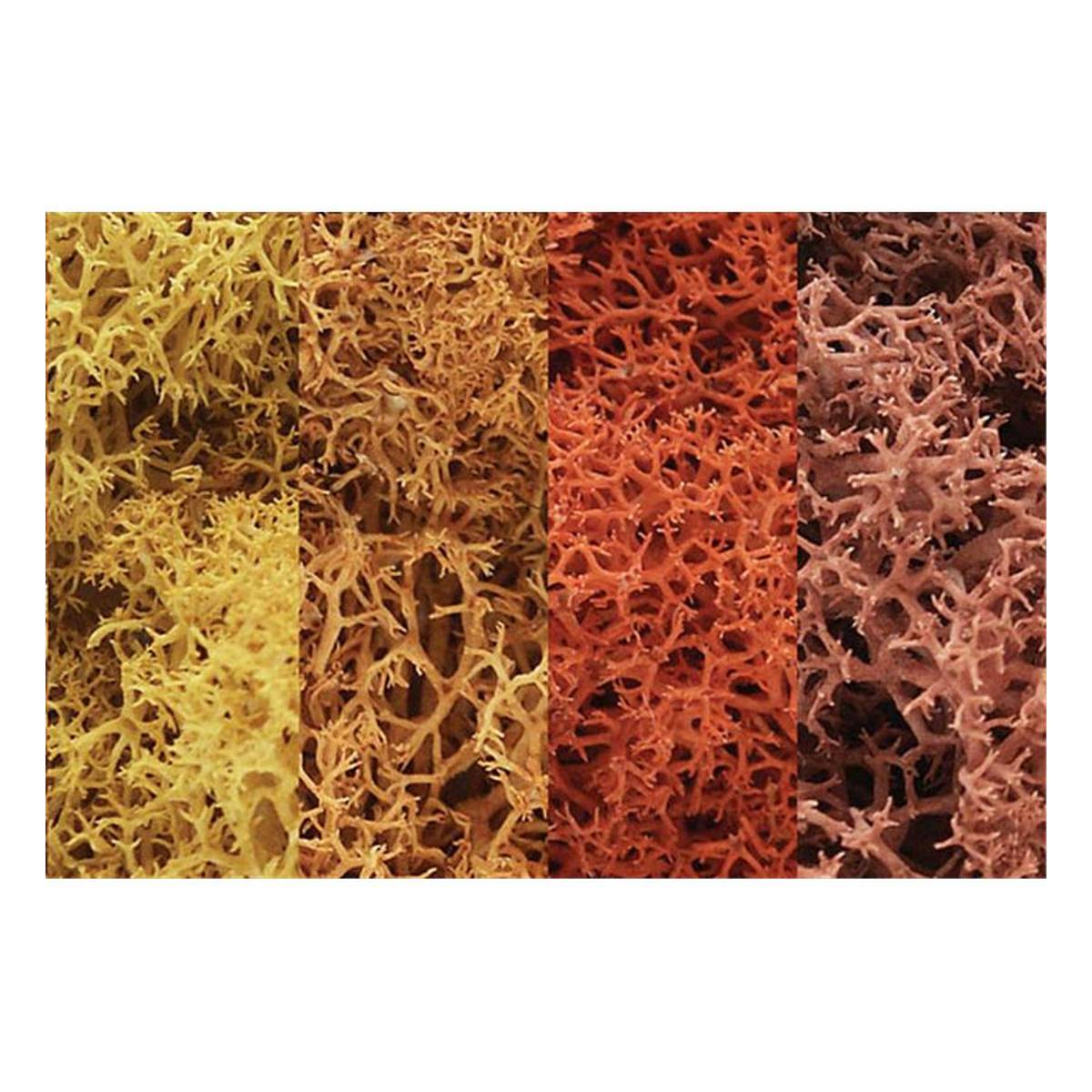 Woodland Scenics Lichen in Autumn Mix