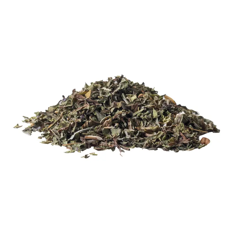 Tee Moroccan Mint