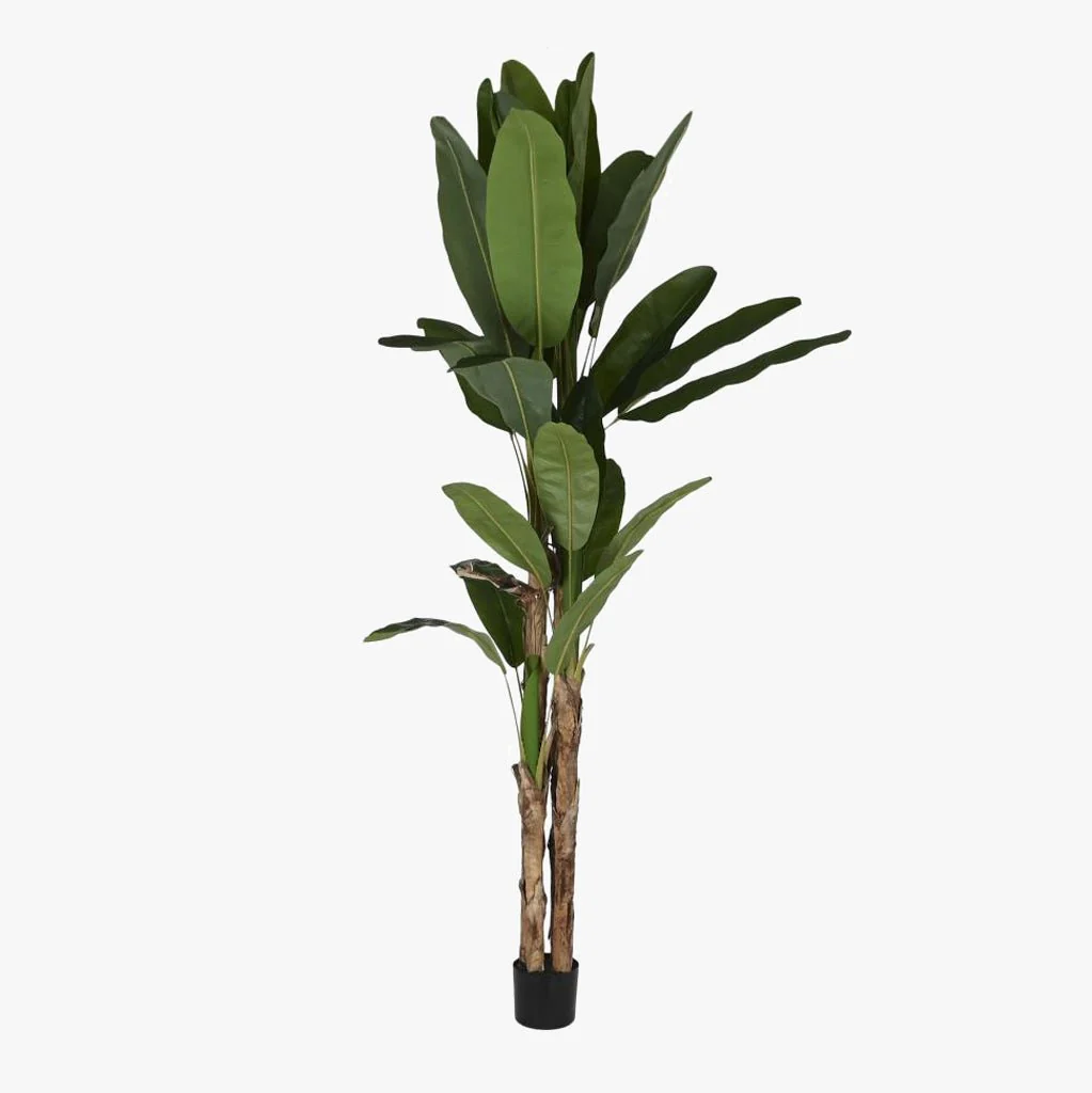Planta Bananeira 290cm EVERLEAF
