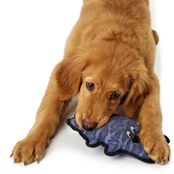 Hundespielzeug, mehrfarbig