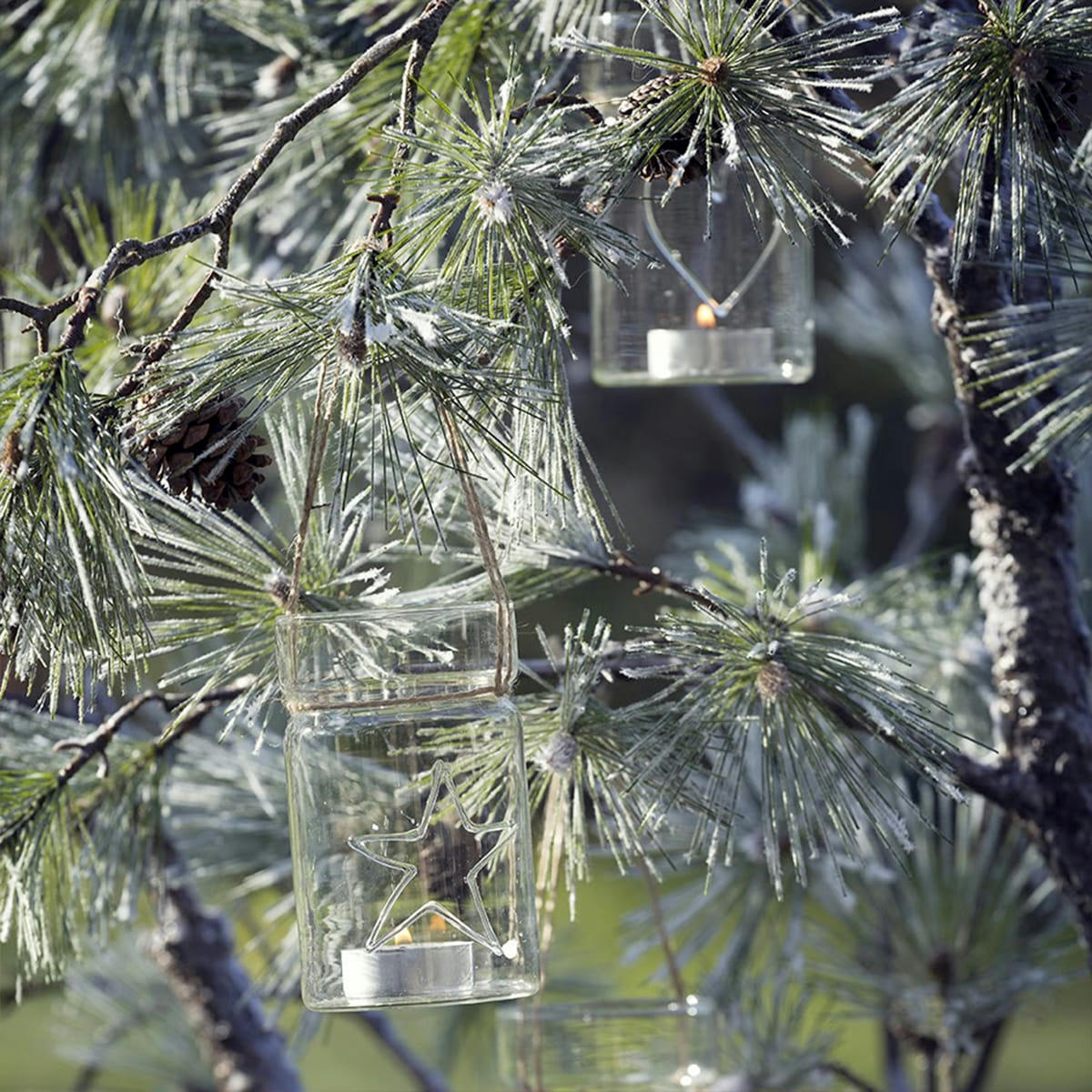 NOËL - Branche de pin H89