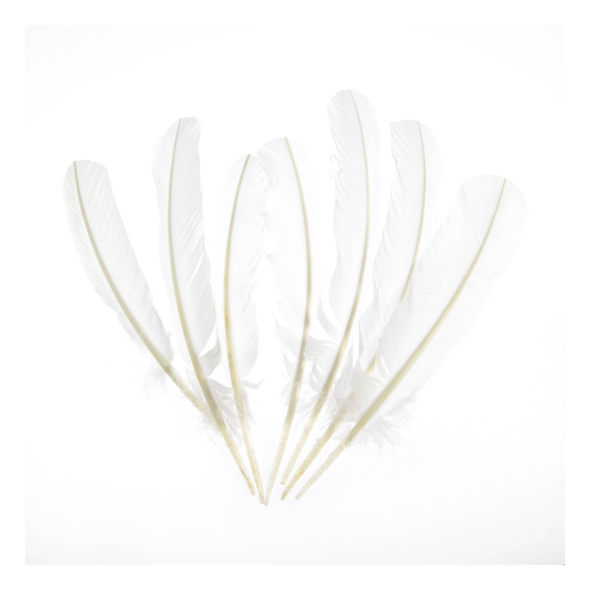 White Feathers 7 Pack