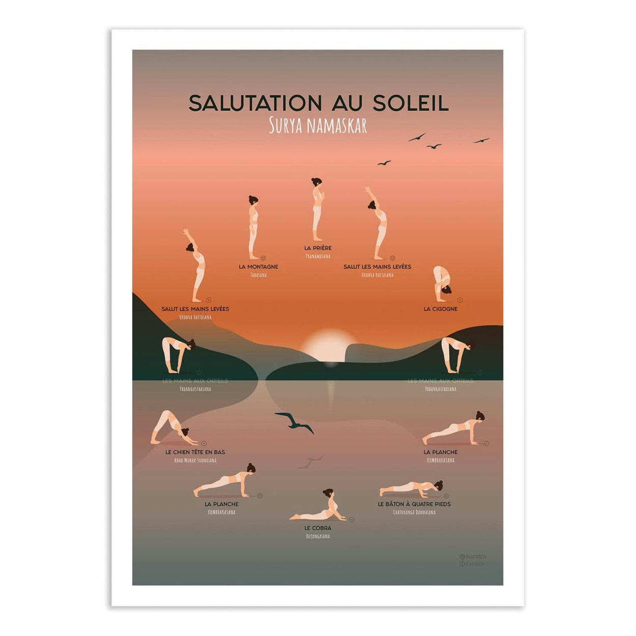 FROG POSTERS - YOGA SALUTATION AU SOLEIL - FROG POSTERS - Affiche d
