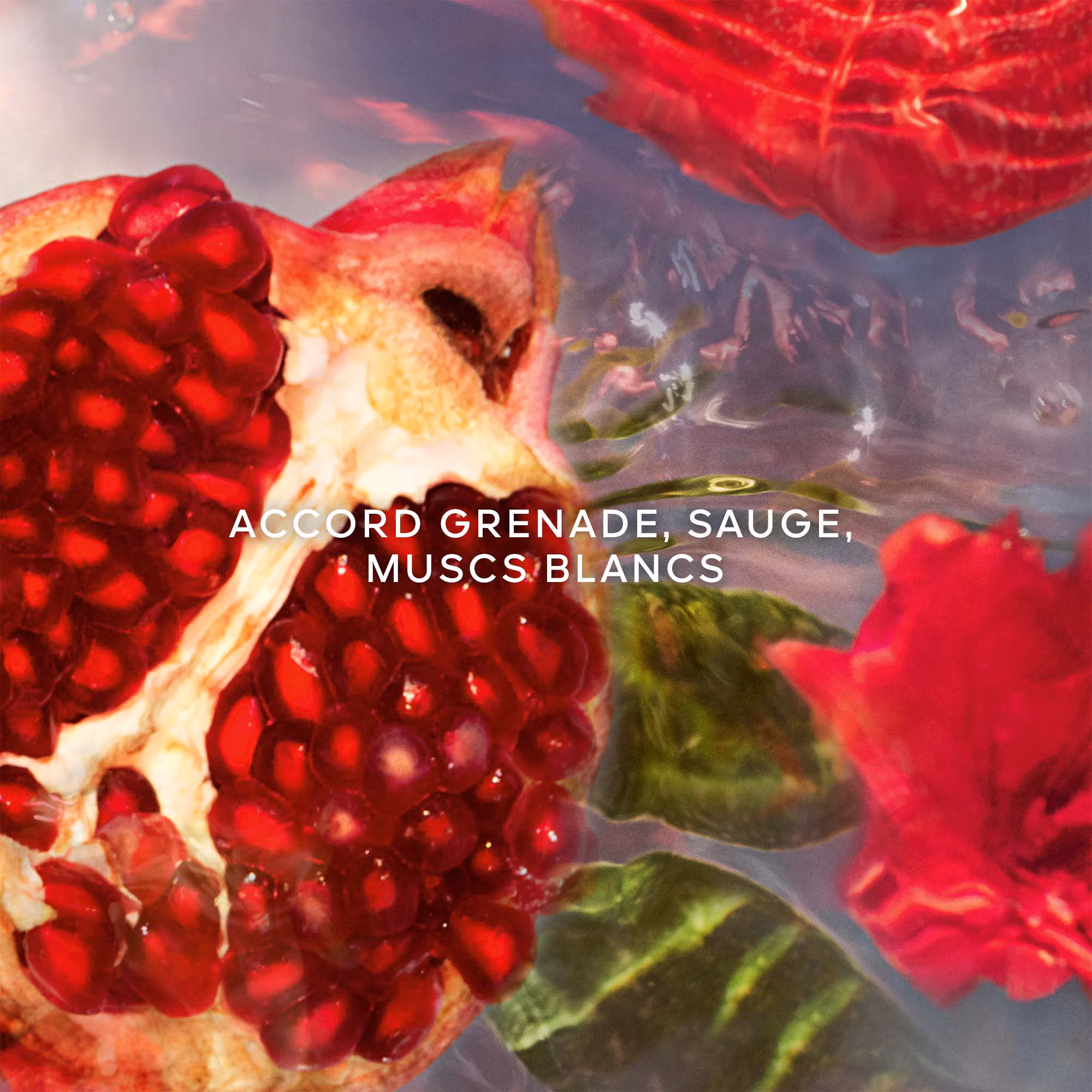 AQUA ALLEGORIAGranada salvia - recharge