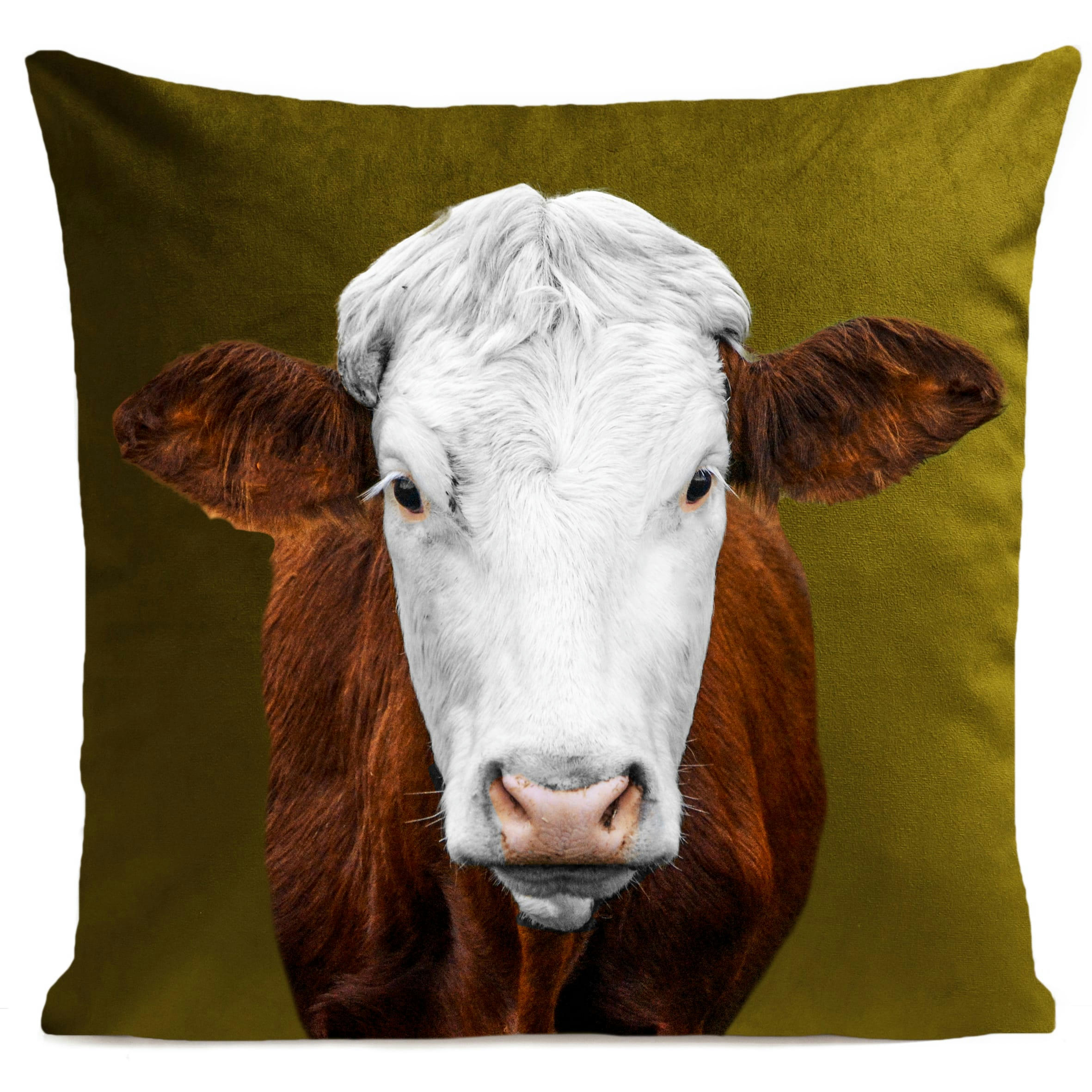 - Coussin campagne vache suédine vert 40x40cm