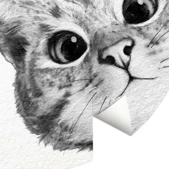Vliestapete »Runde Vliestapete«, Graves Kleine Katze Kätzchen, mehrfarbig, matt