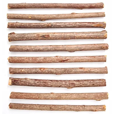 Aumüller Silver Vine Cat Sticks