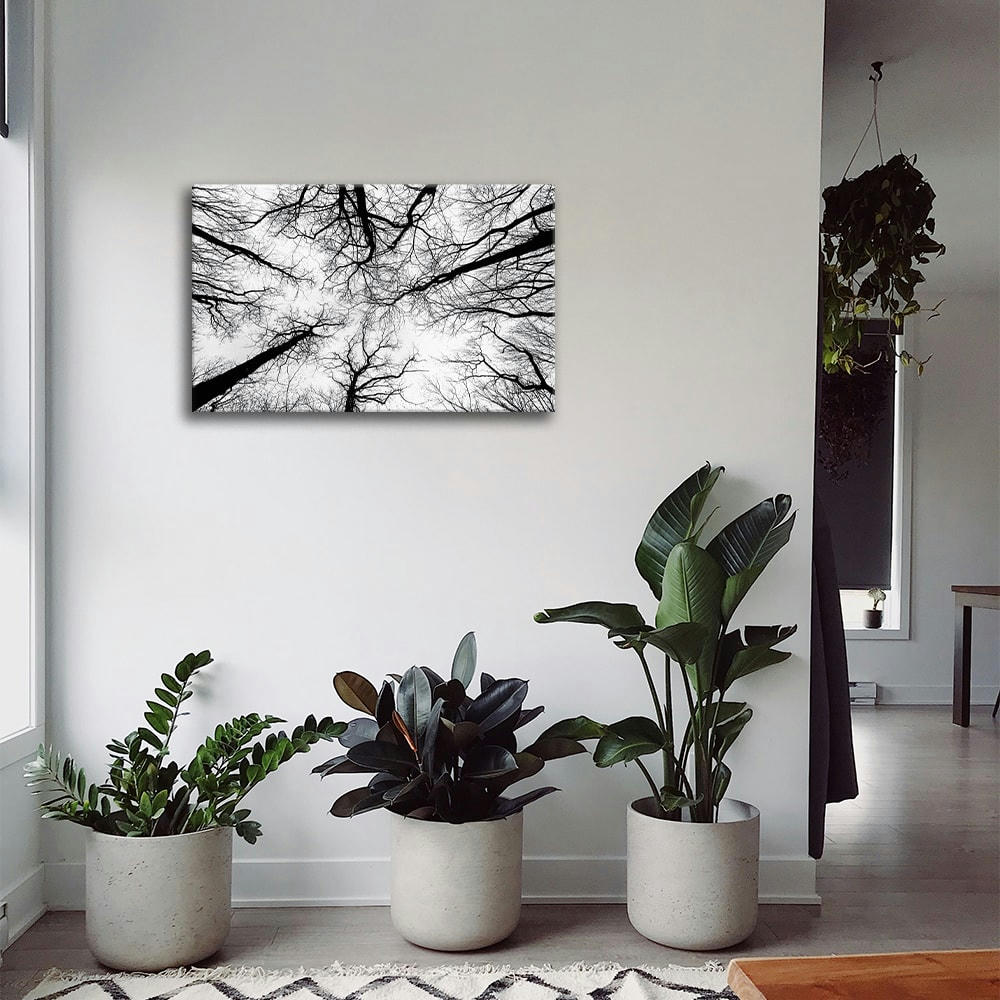 - Tableau impression sur toile branches dépouillées 60x90cm