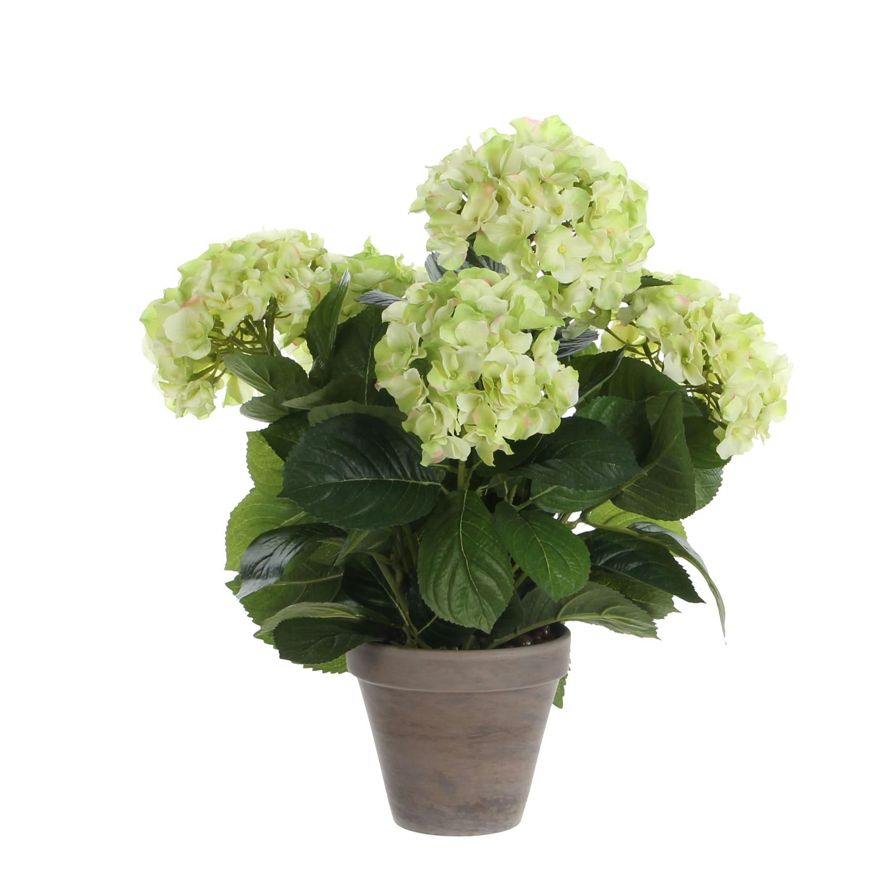 - Hortensia artificielle vert en pot H45
