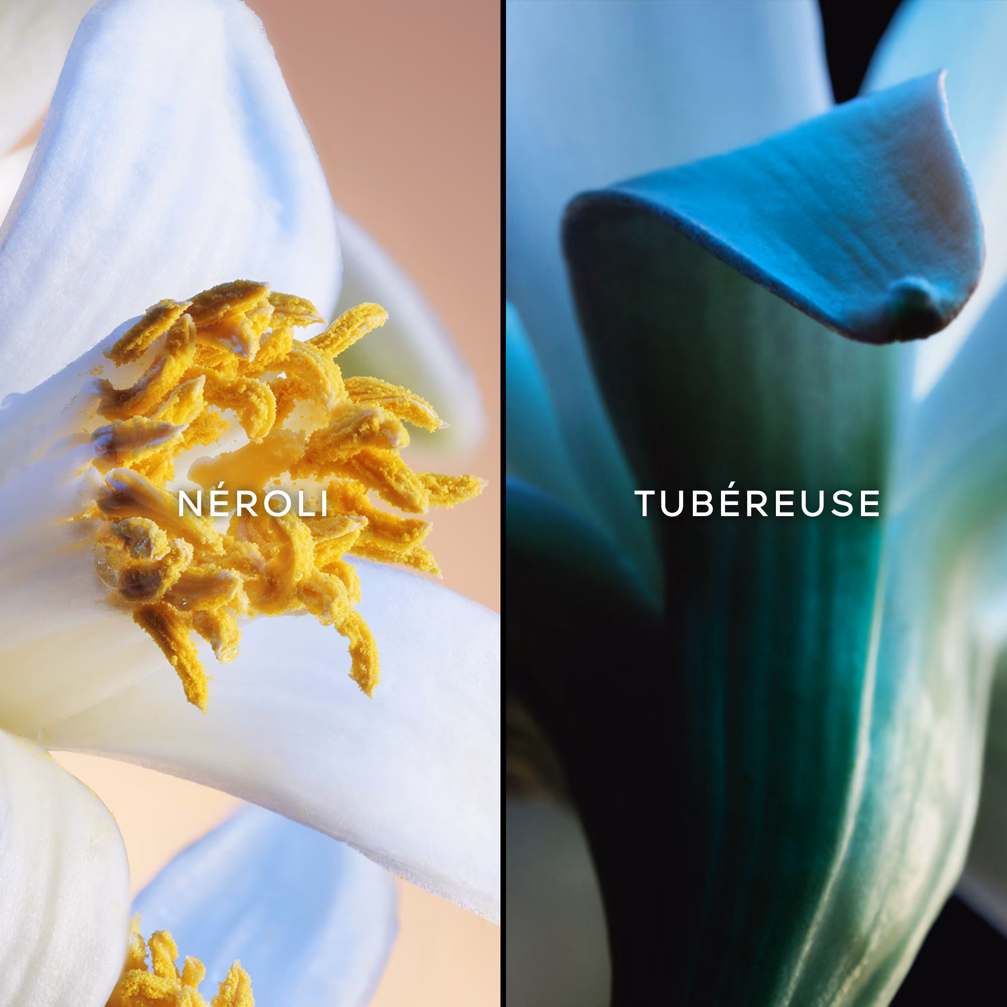 JARDINS DE BAGATELLEEau de parfum