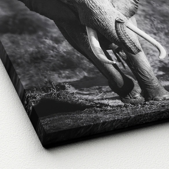 Keilrahmenbild »Grey Elephant Head«, Rahmen: Holzwerkstoff, natur