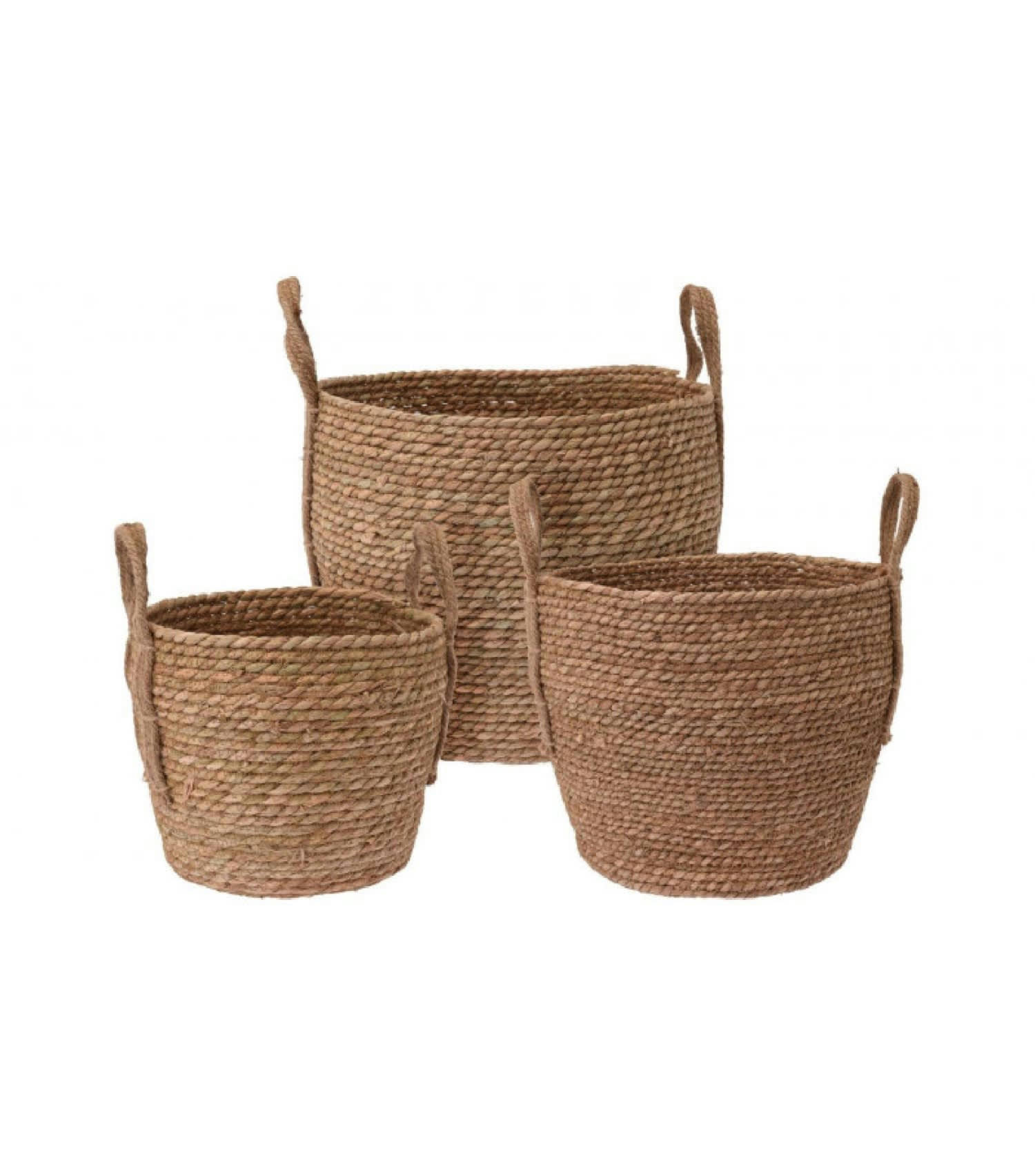 JONC DE MER - Set de 3 paniers ronds tressés en jonc de mer