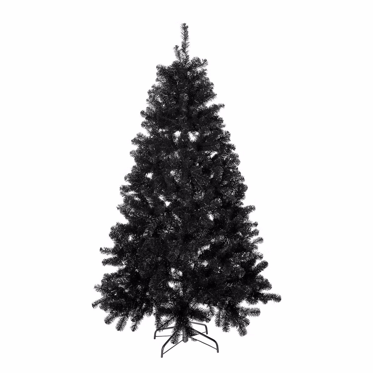 TREE OF THE MONTH Weihnachtsbaum