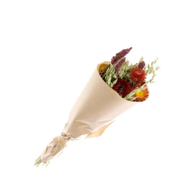 - Bouquet de fleurs séchées rouge S