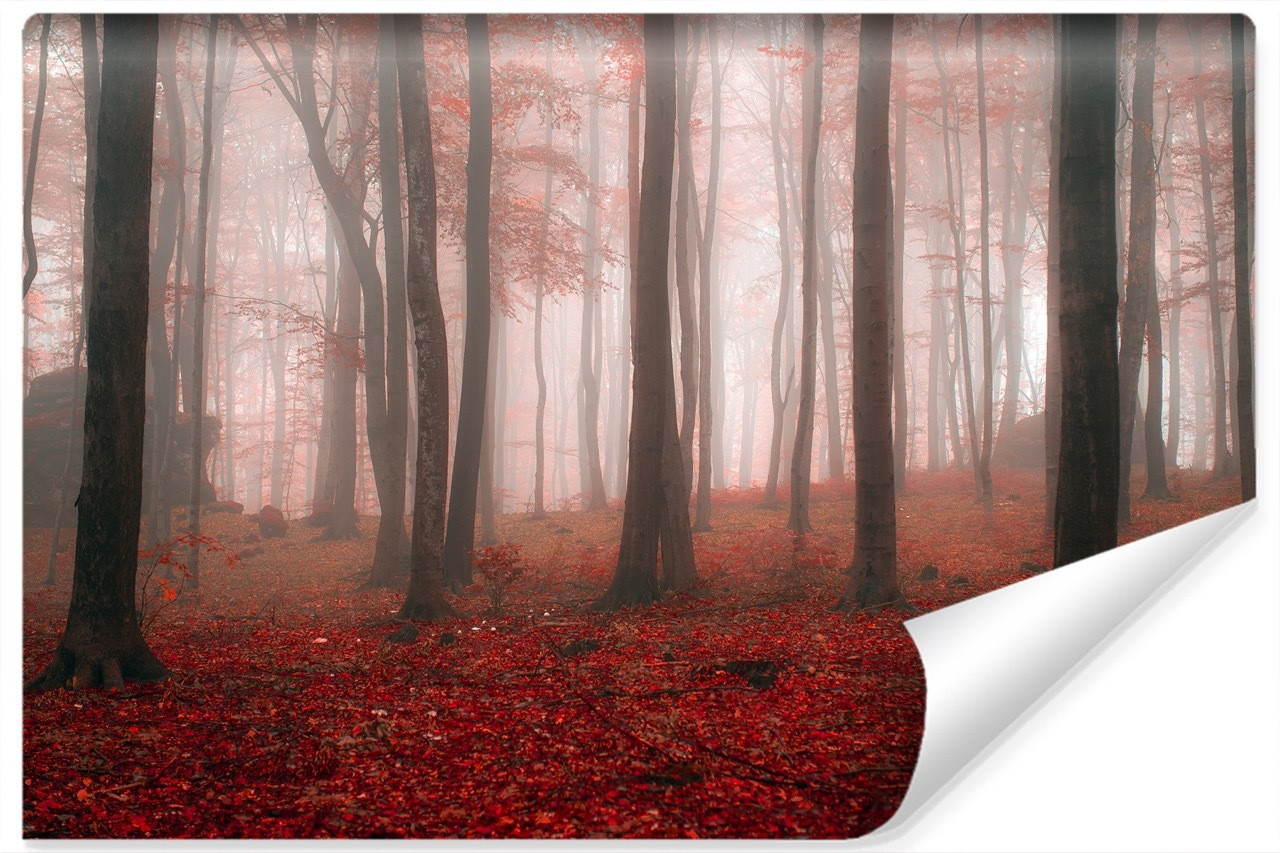 Fototapeta Abstrakcyjny Las We Mgle 90x60cm