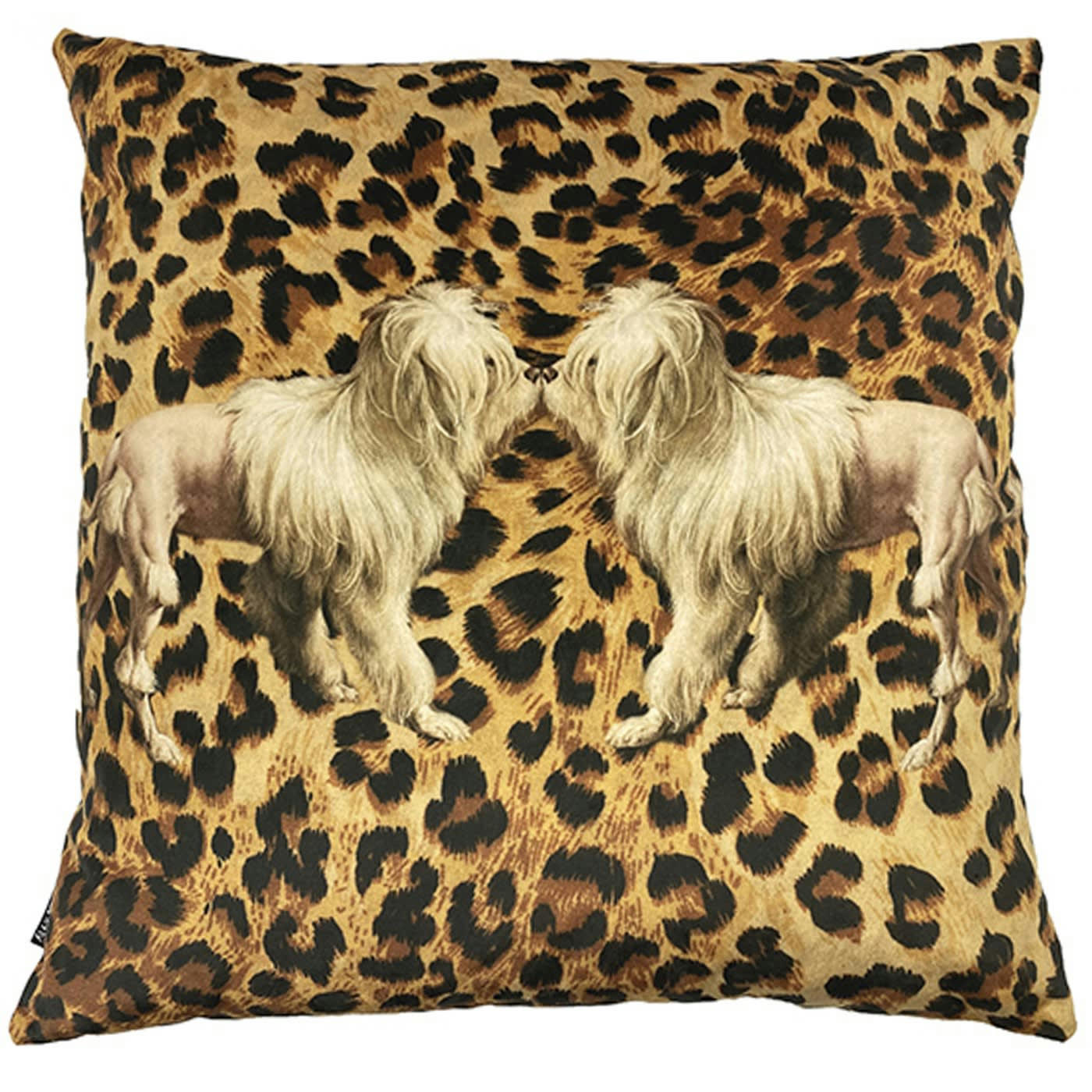 TIGERDOG - Coussin velours 50x50