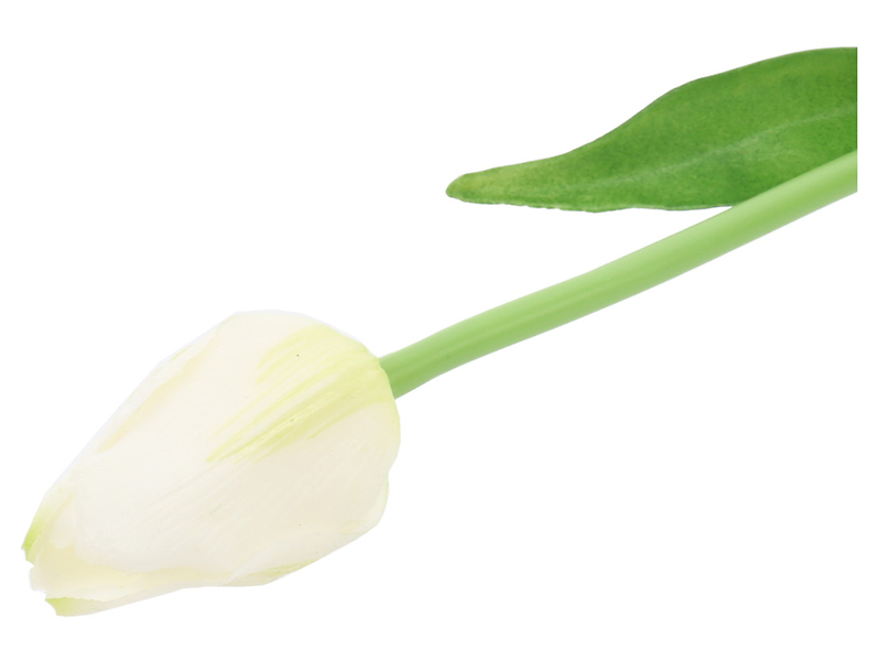 Tulipan pojedynczy gumowany biały