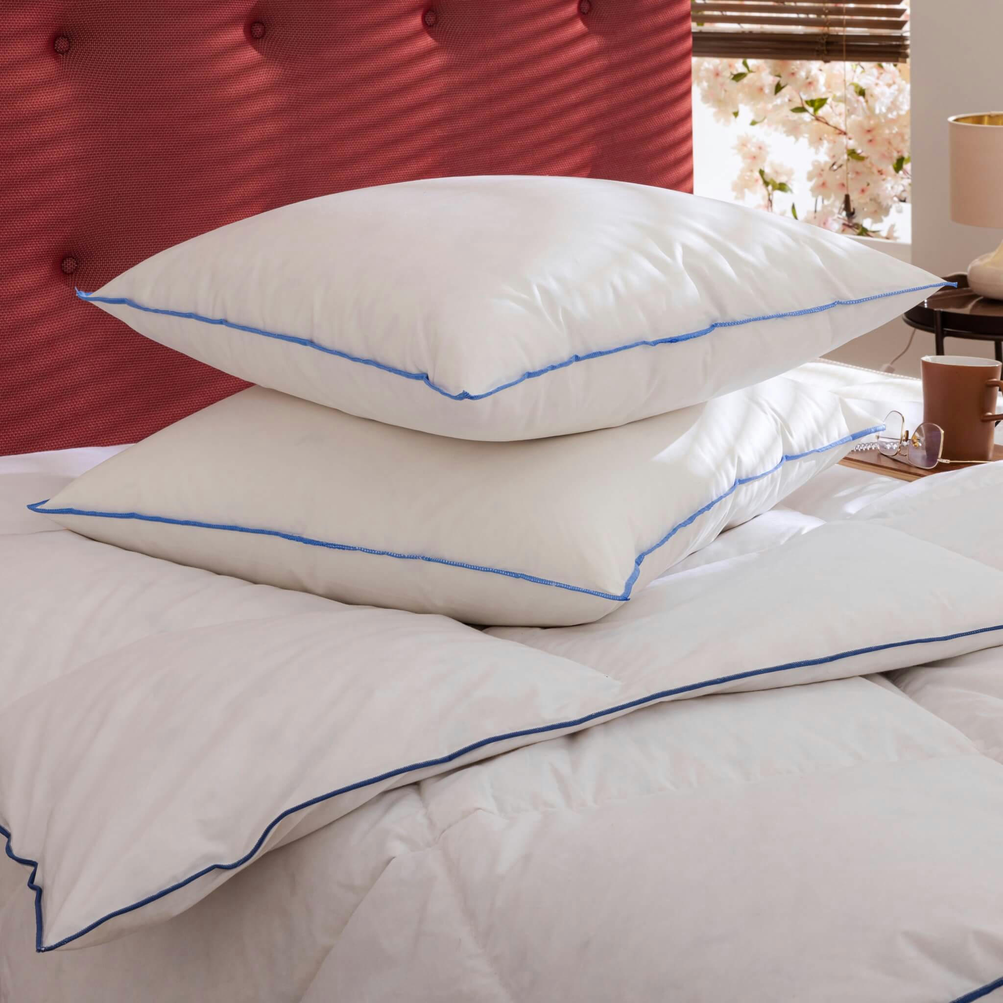 - Oreiller moelleux/ferme duvet antiallergènes 65x65