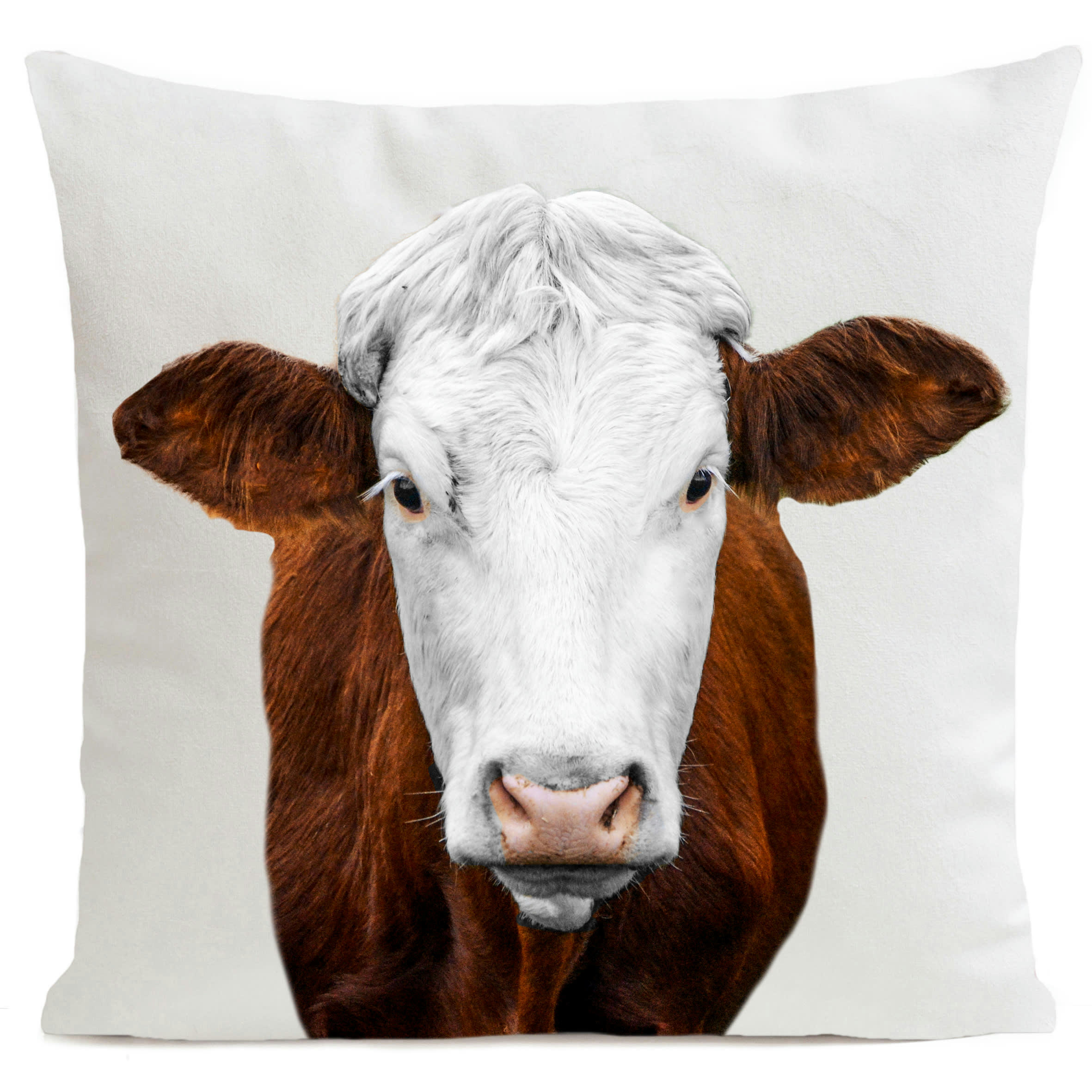 - Coussin campagne vache des highlands blanc 40x40cm
