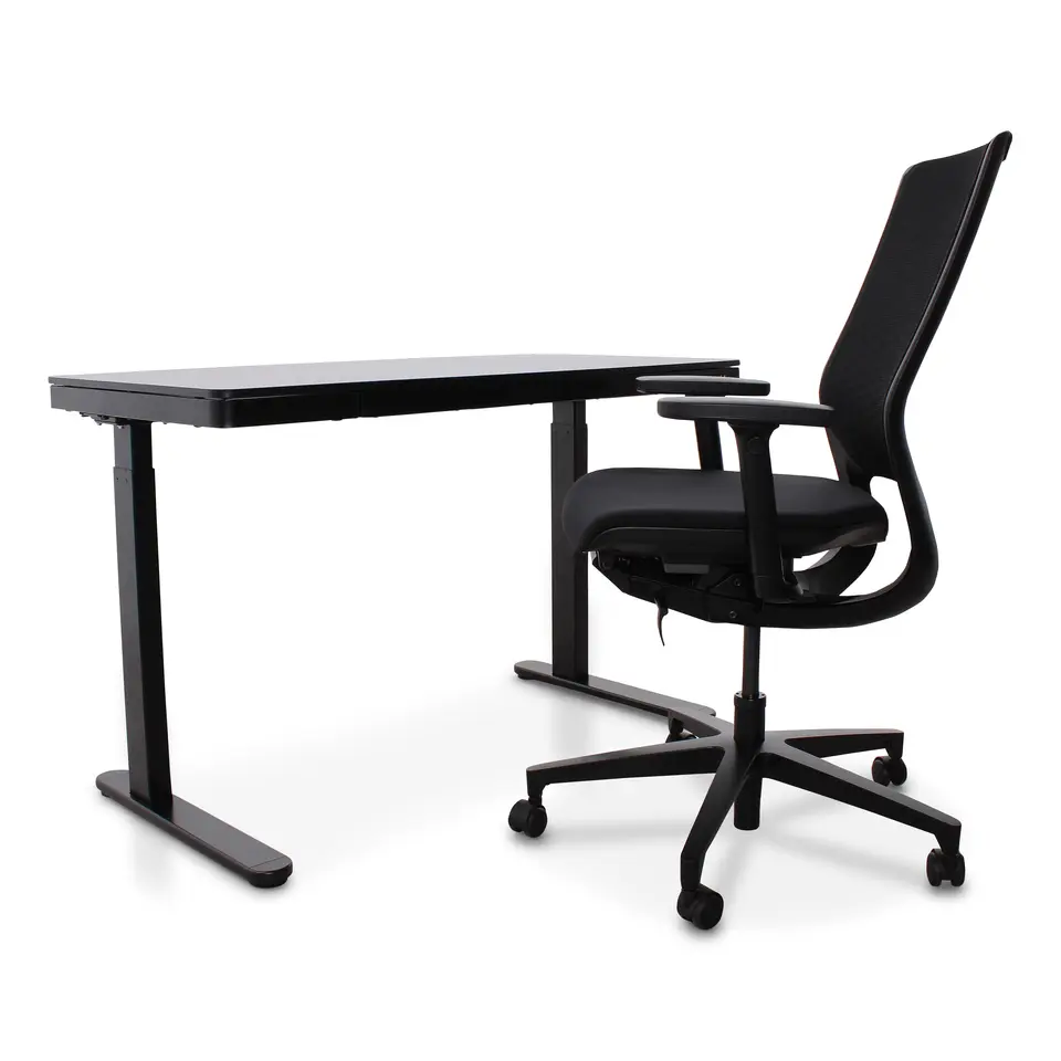 Home Office - Zwart - 120 x 60 - Zit-sta bureau elektrisch verstelbaar