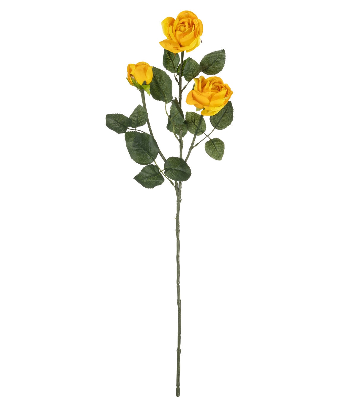 31 Yellow Cabbage Rose Stem by Bloom Room