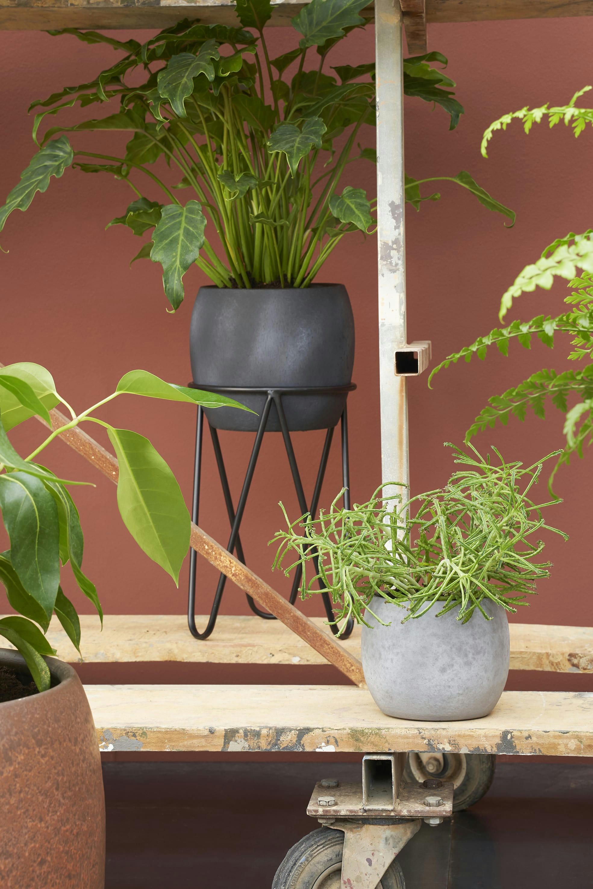 - Porte-plante en métal noir H38,5