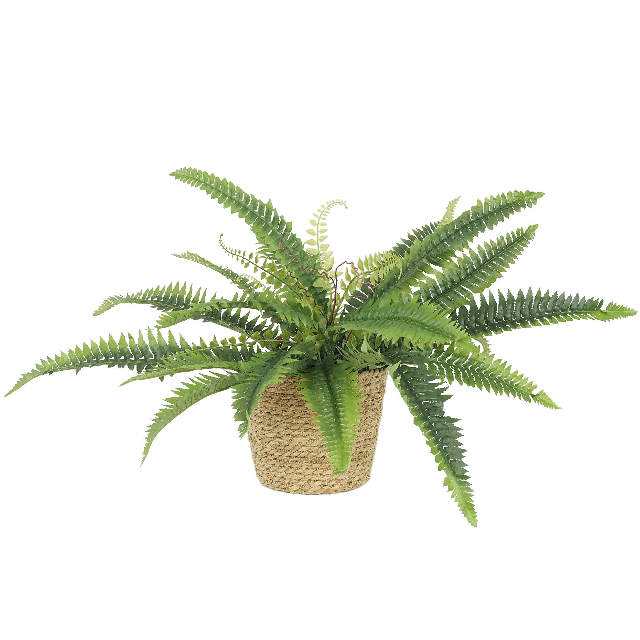 - Fougère artificielle en bouquet 55cm