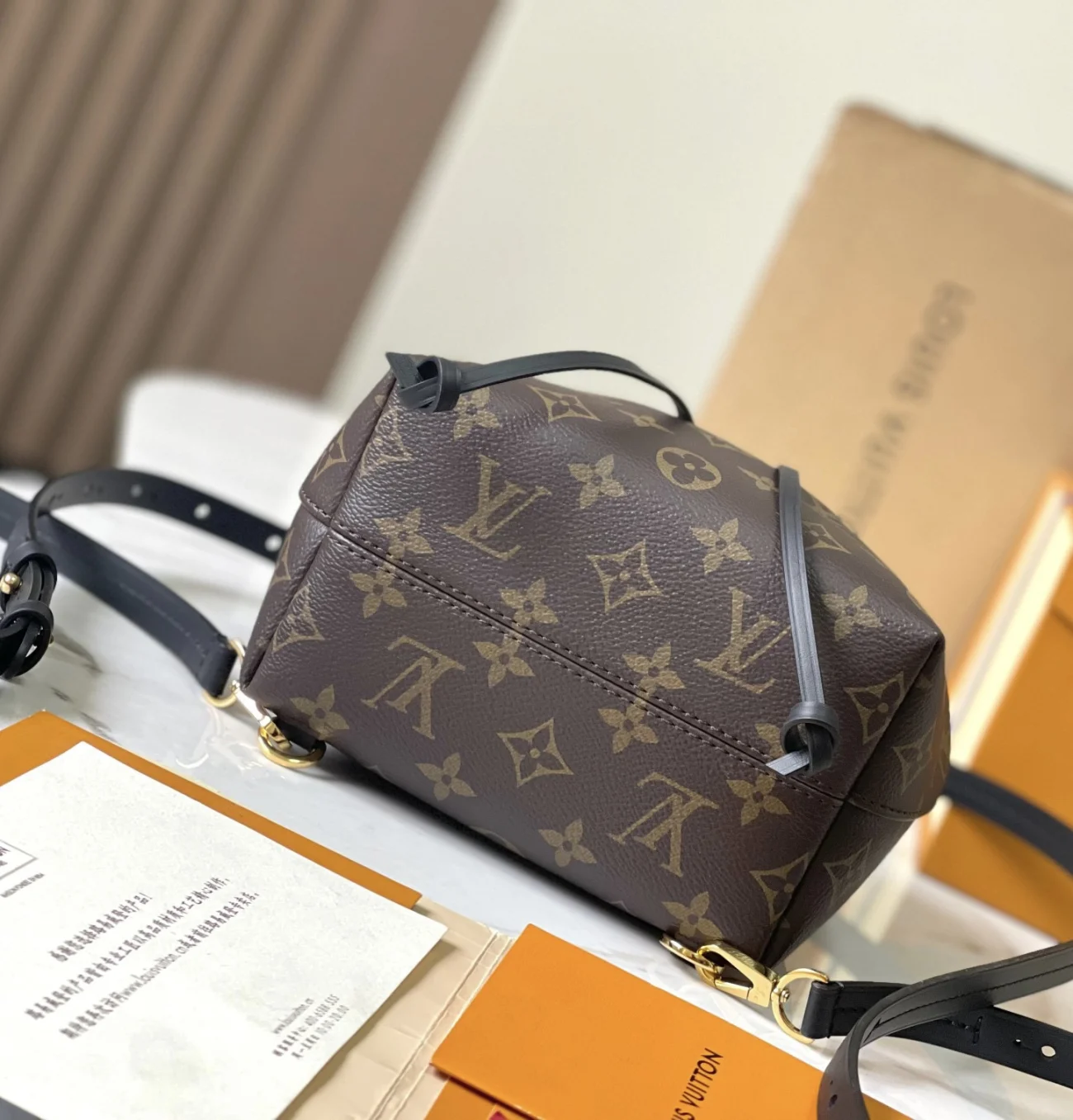 Louis Vuitton LV Montsouris Backpack