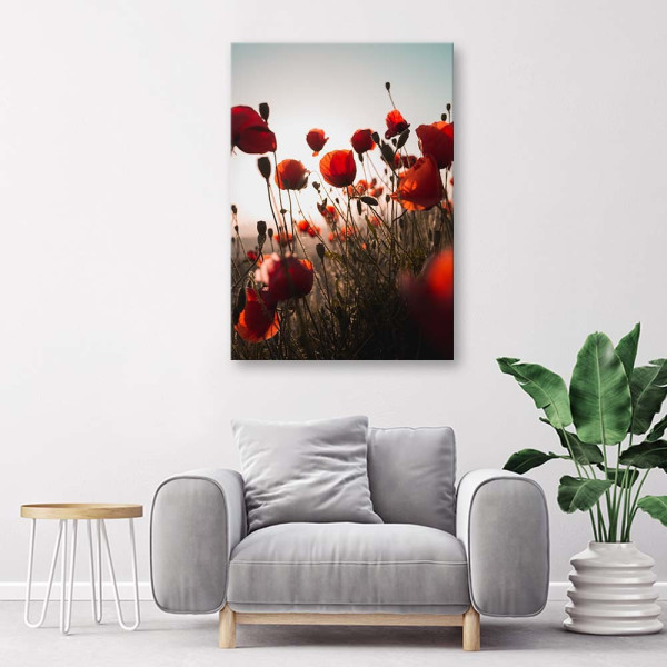Feeby Obraz na płótnie Maki w słońcu 40x60