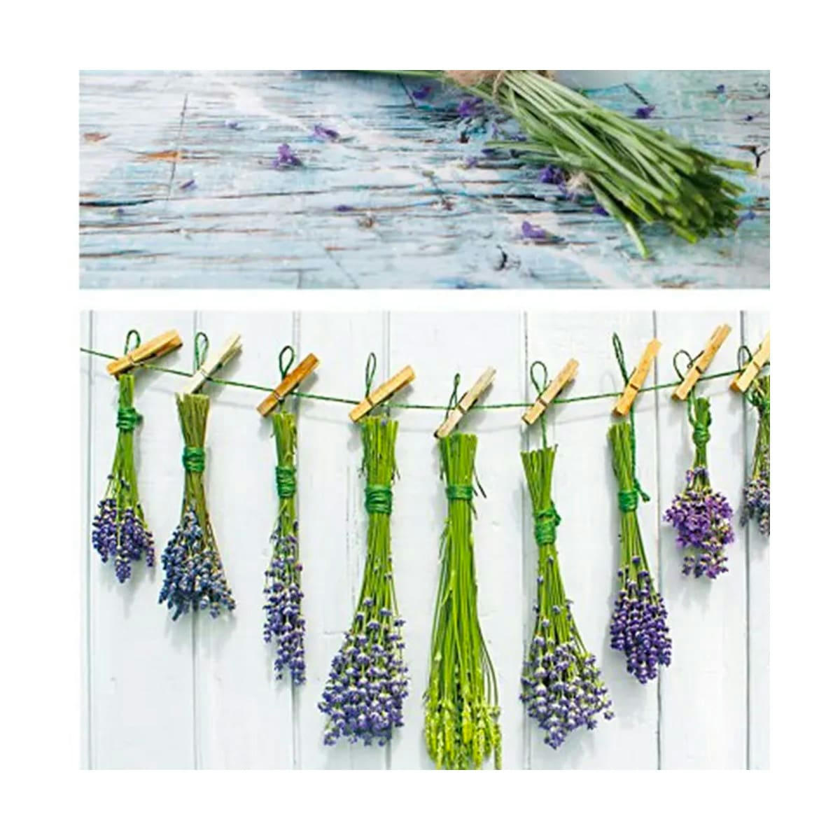 - Set de 2 tableaux décoratifs photo lavande 70x2,5x50cm