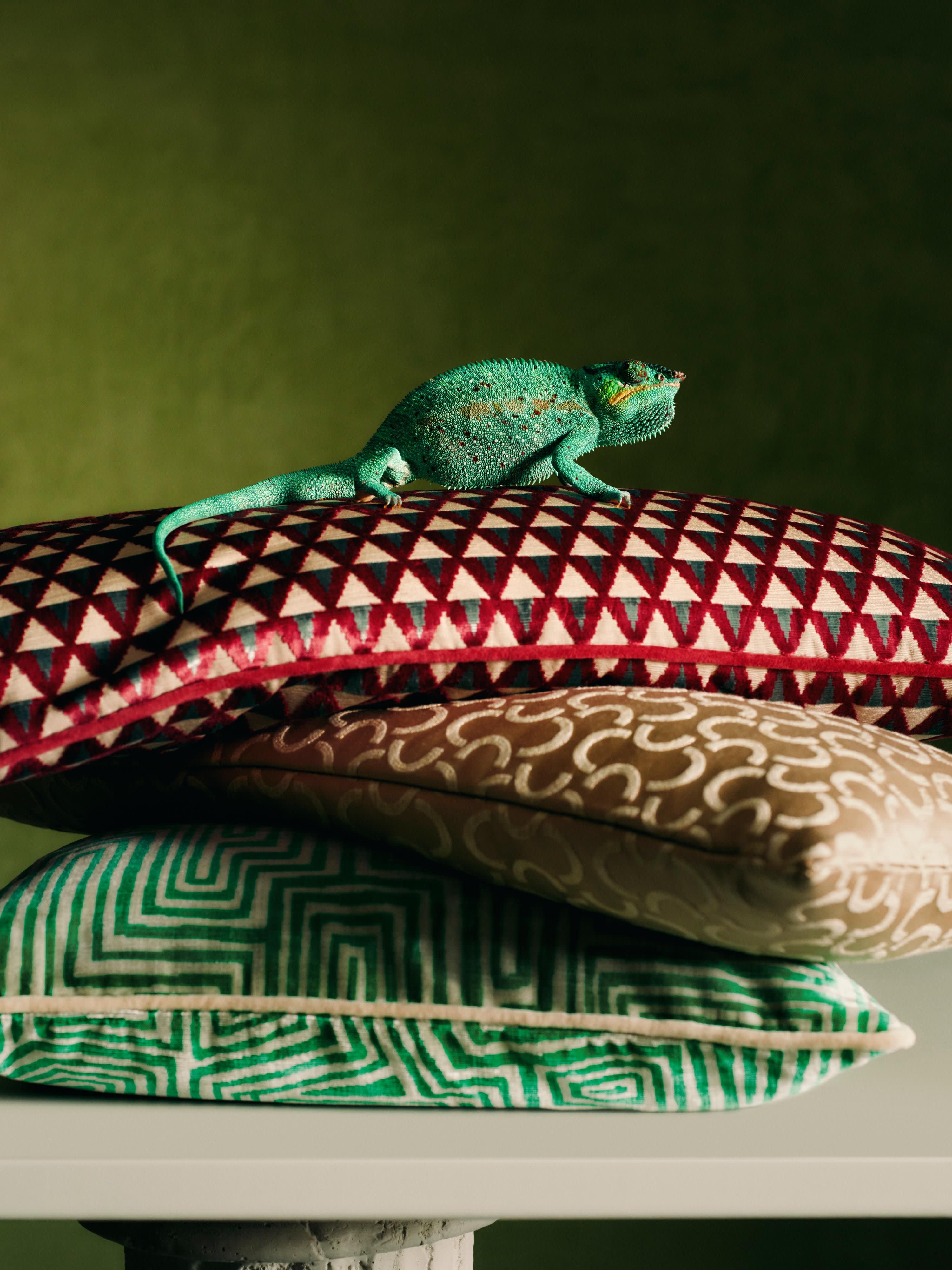 DEDAR Milano x Westwing, Design Kissen Ronell