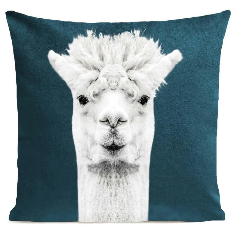 - Coussin enfant lama velours bleu canard 40x40cm