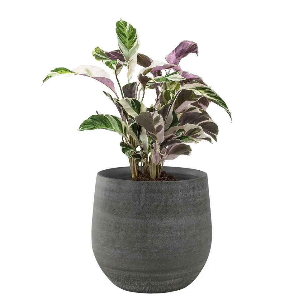 Ter Steege Plantenpot/bloempot - keramiek - grijs - 31 x 28 cm