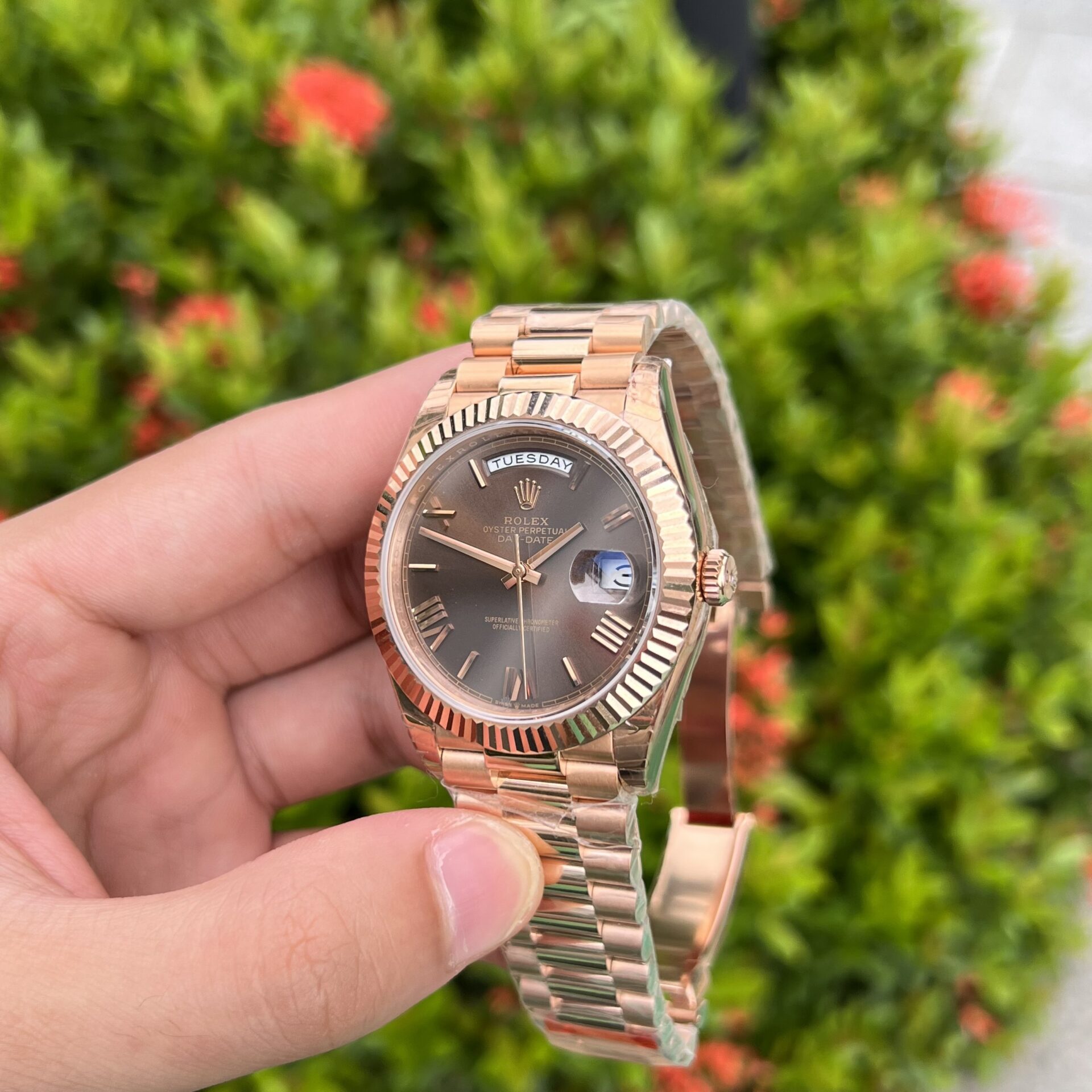 Rolex Day-Date RG Plated Chocolate Dial 40mm EWF Replica
