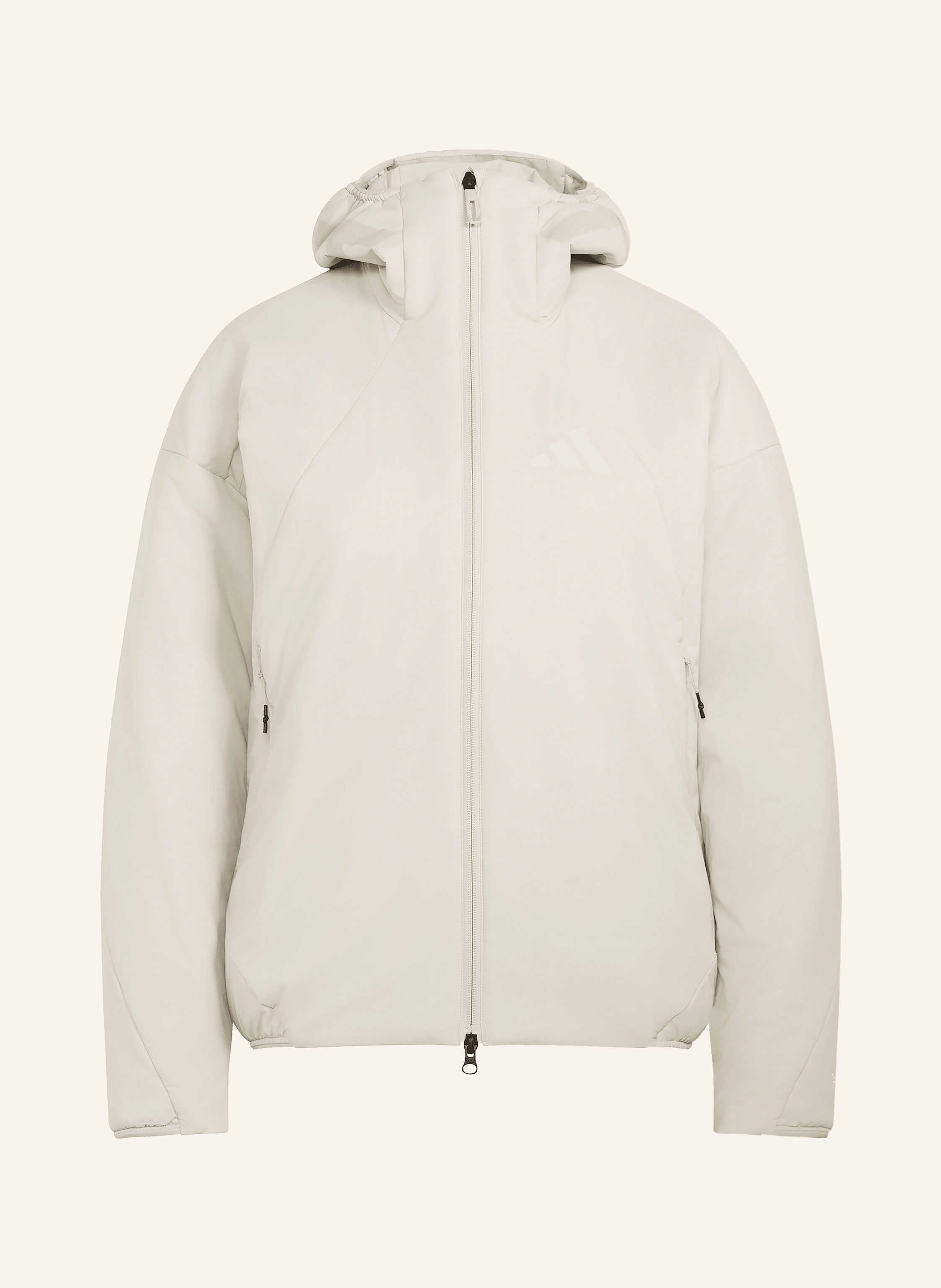 adidas TERREX Funktionsjacke TEREX XPERIOR PRO
