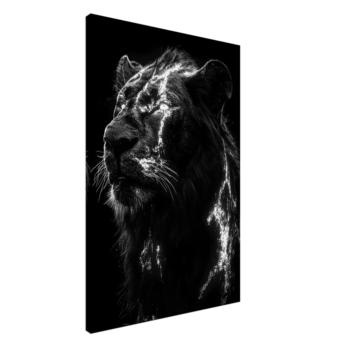 Artfulprints Canvas Lion portrait canvas - 60x90 cm - Zwart / Wit