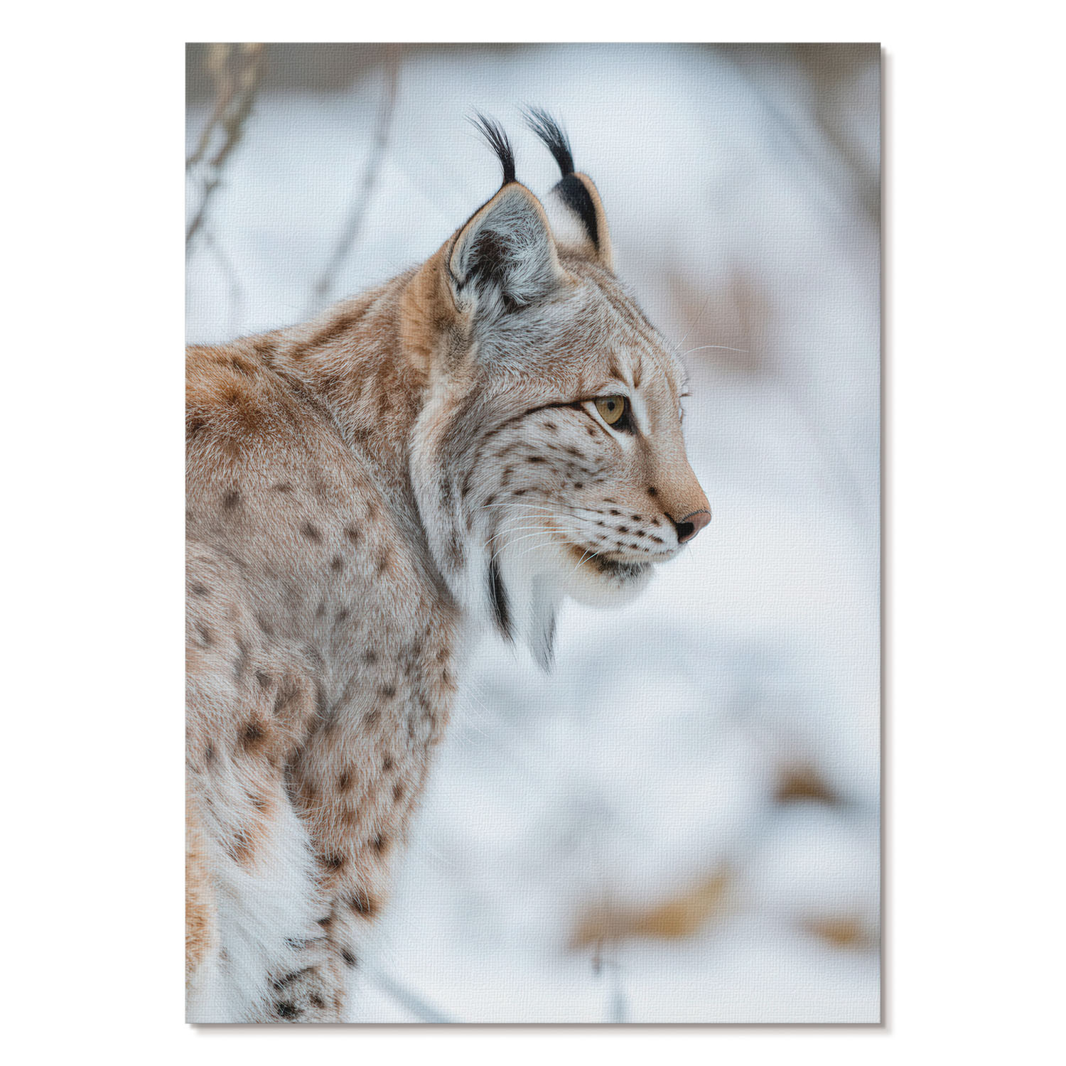 Plakaty canvas A4 Rys zimą przyroda naturalne barwy harmonia