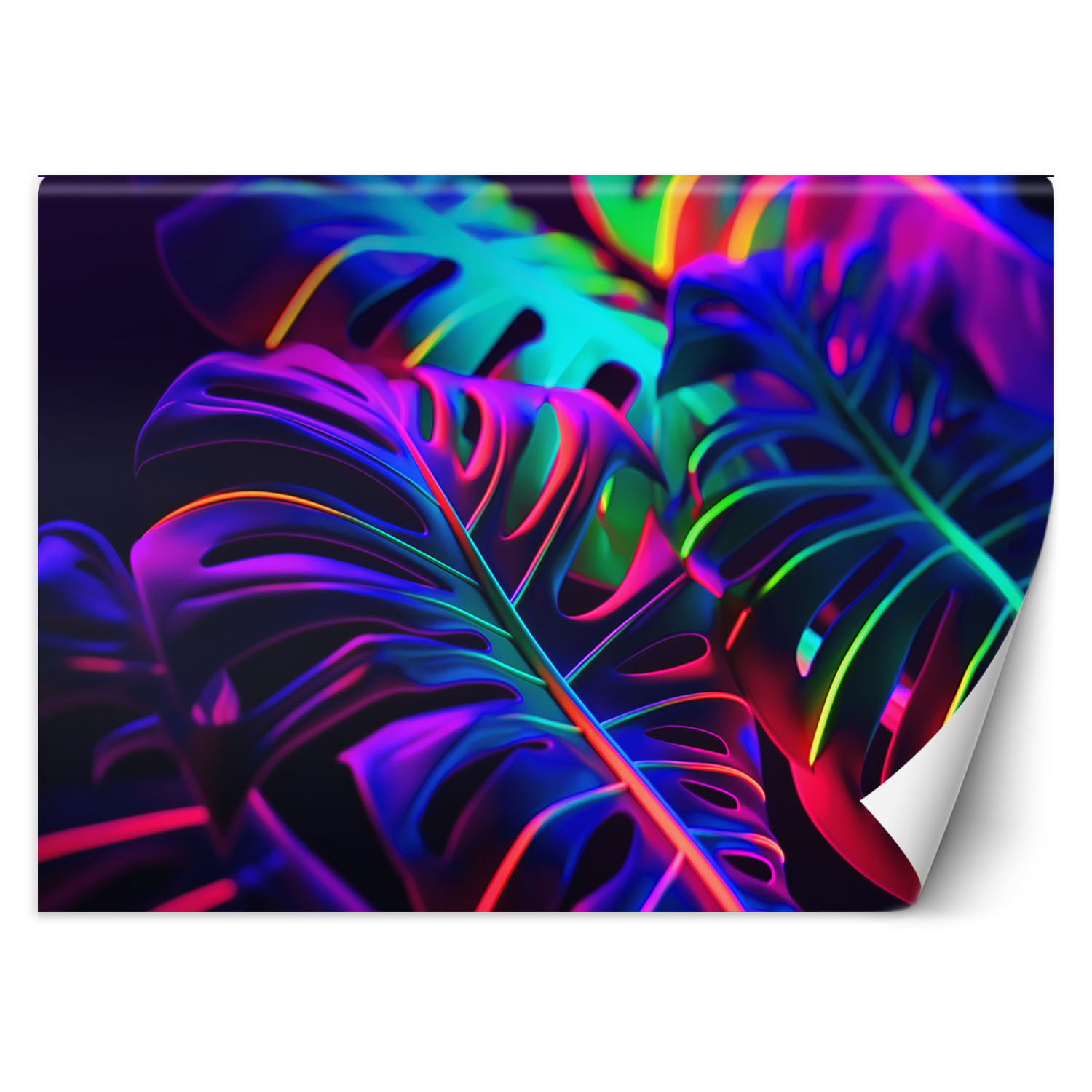 Feeby Fototapeta, Liście monstery w neonowych barwach 150x105