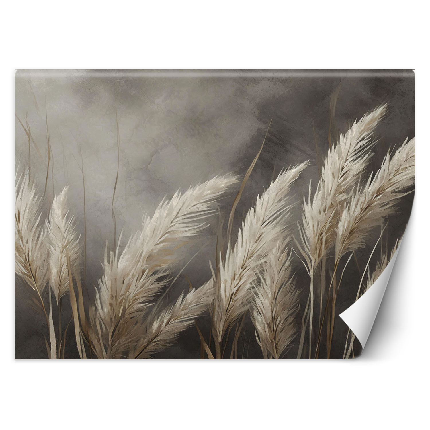 Fototapeta, trawa, natura, botanika, beżowy