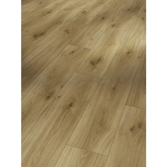 Laminat Handmuster »Basic 400«, Eiche, LxBxS: 200 x 194 x 8 mm