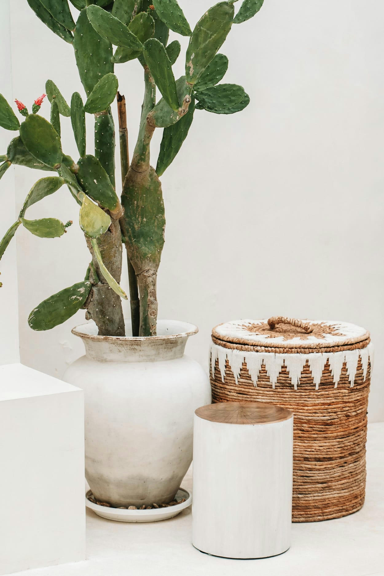 TRIBE - Tabouret en bois de teak naturel blanch