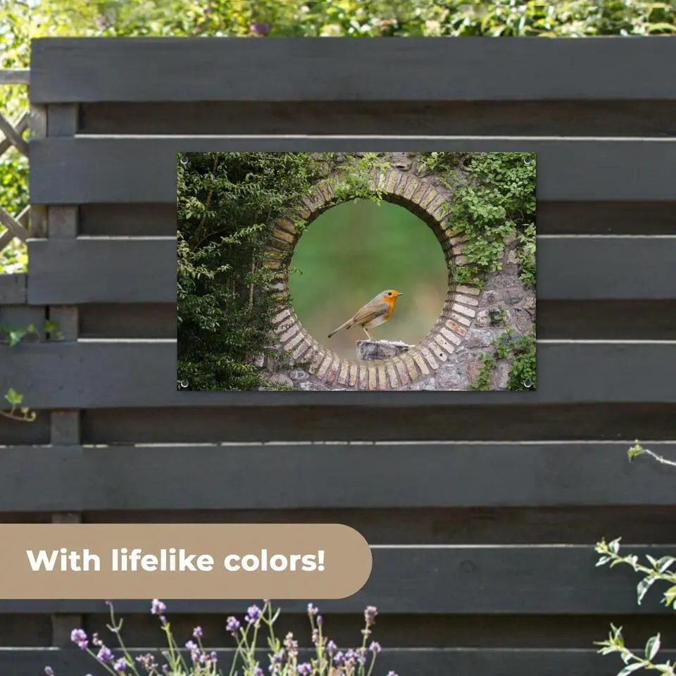 MuchoWow Tuinposter 90x60cm Vogel Doorkijk Roodborstje