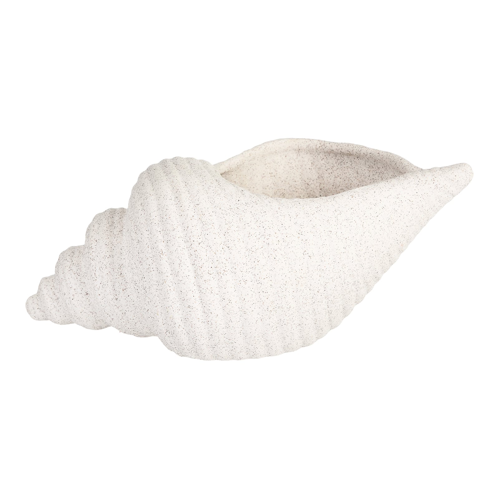 Deko-Objekt Muschel Creme,B 300 x H 120 x T 165 mm