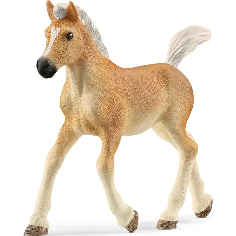Spielset Horse Club