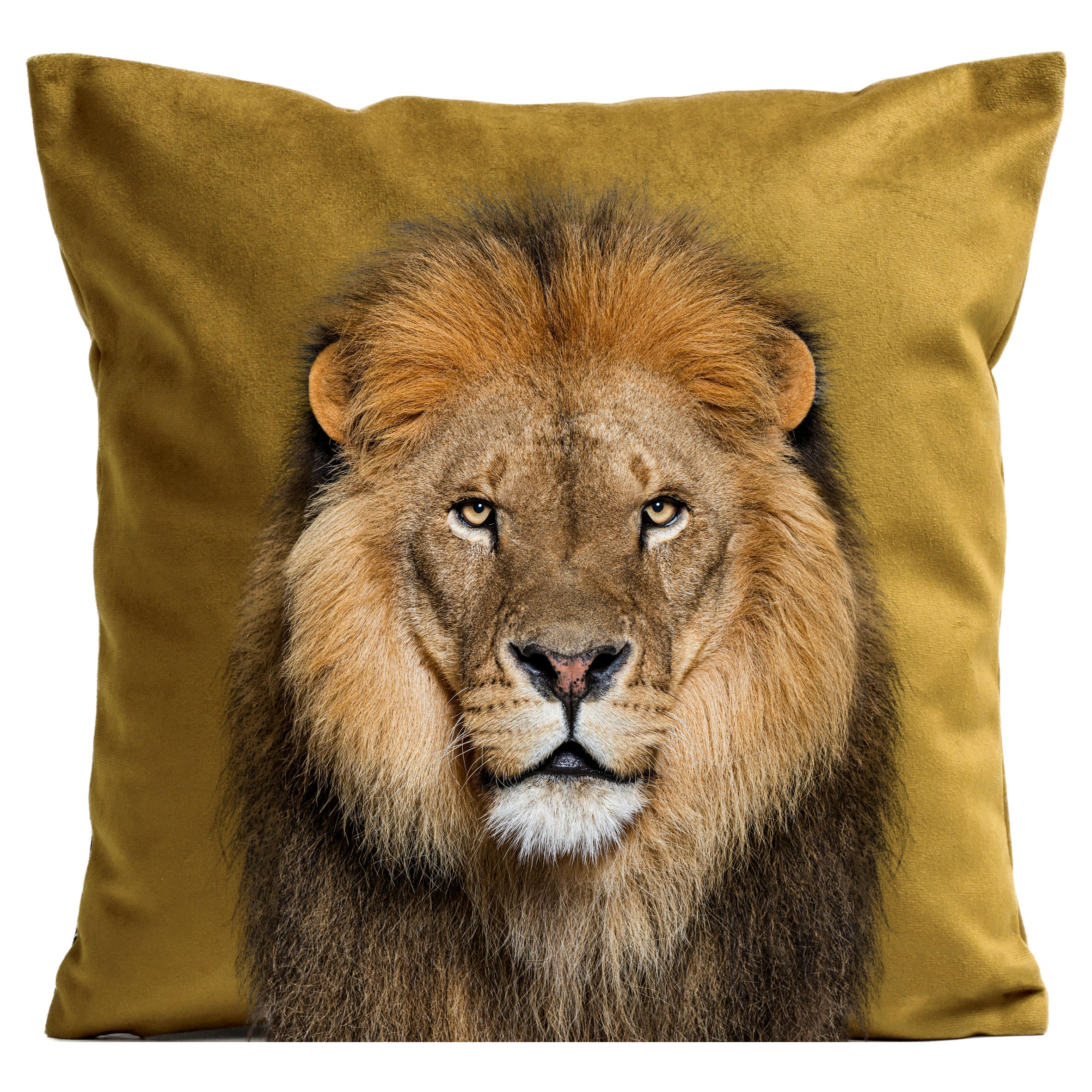 - Coussin animal lion suédine jaune 40x40cm